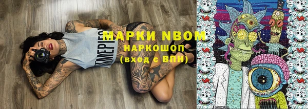 хмурый Корсаков