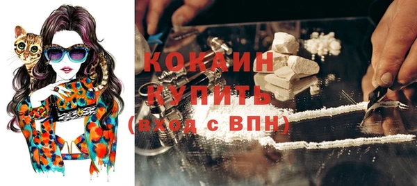сатива Верхний Тагил