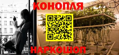 стаф Донецк