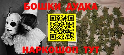 кокс Донской