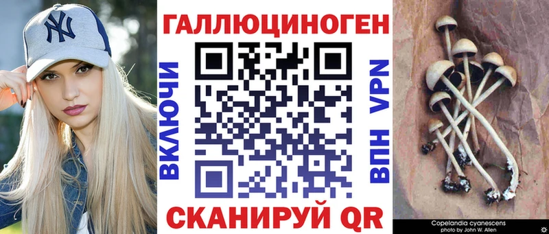 Псилоцибиновые грибы прущие грибы  блэк спрут ONION  Надым 