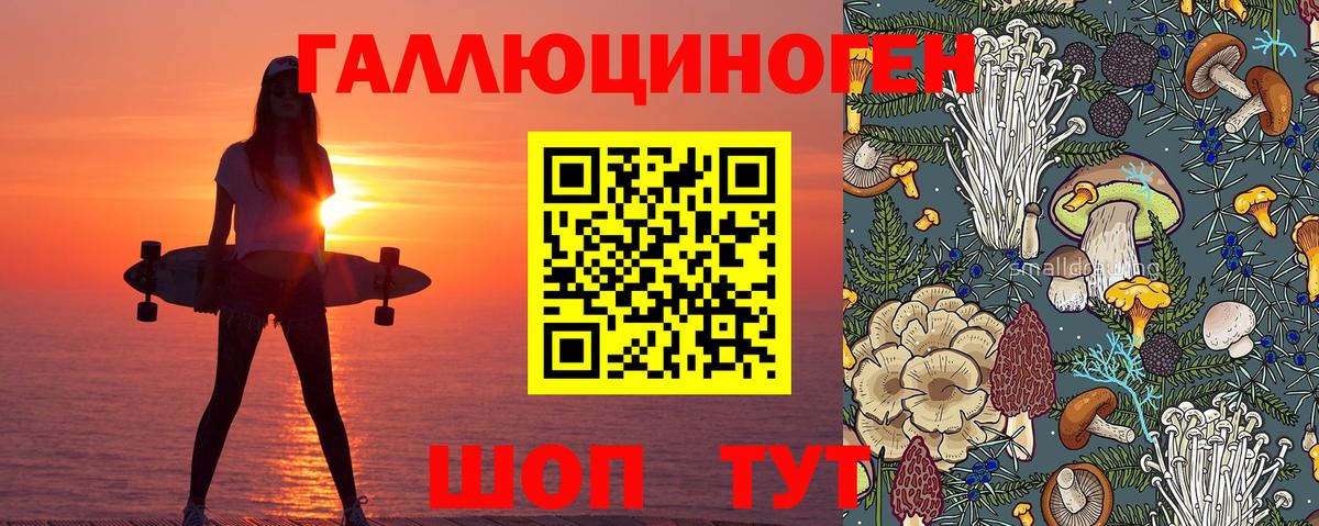 Надым  Псилоцибиновые грибы прущие грибы  Вход с VPN 